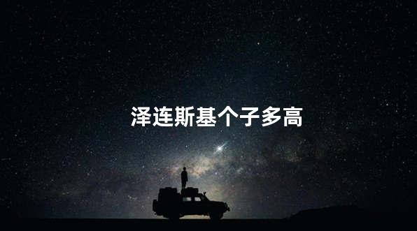 泽连斯基个子多高