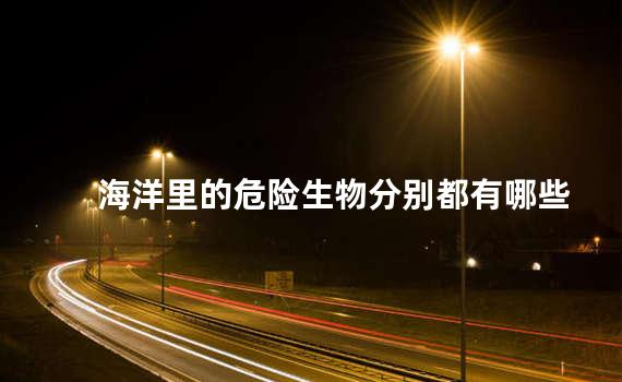 海洋里的危险生物分别都有哪些