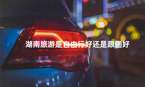 湖南旅游是自由行好还是跟团好