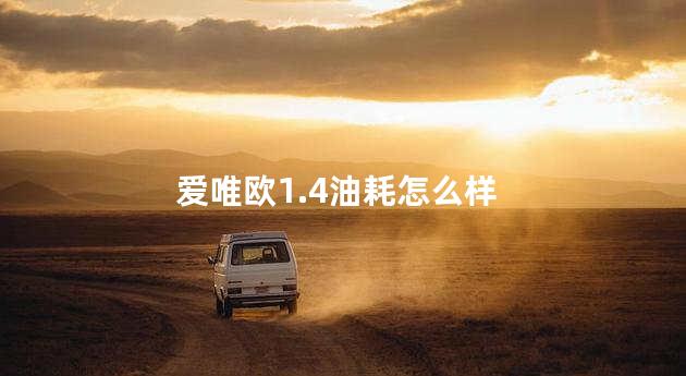 爱唯欧1.4油耗怎么样