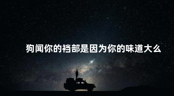 狗闻你的裆部是因为你的味道大么