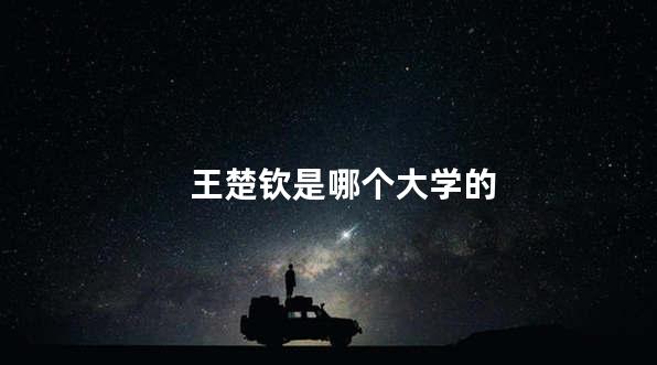 王楚钦是哪个大学的