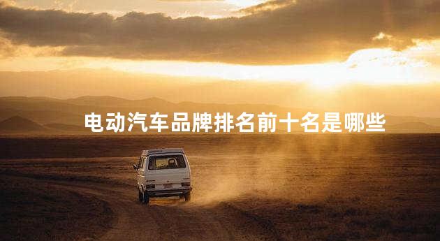 电动汽车品牌排名前十名是哪些