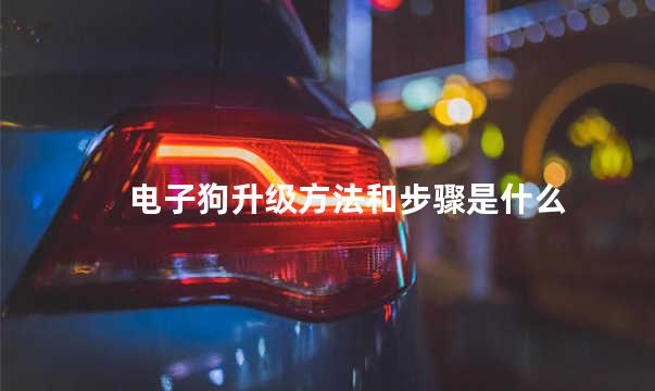 电子狗升级方法和步骤是什么