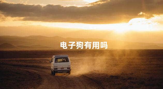 电子狗有用吗