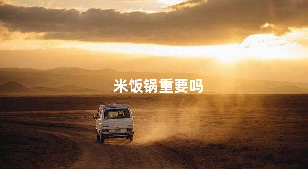 米饭锅重要吗