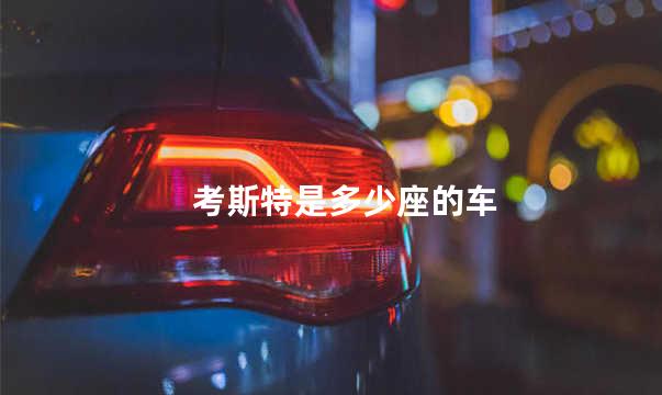 考斯特是多少座的车