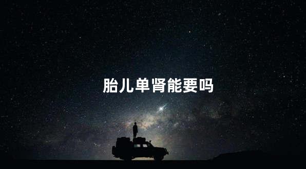 胎儿单肾能要吗
