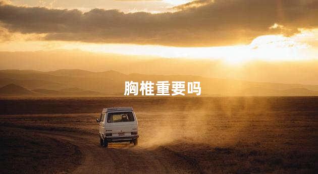 胸椎重要吗