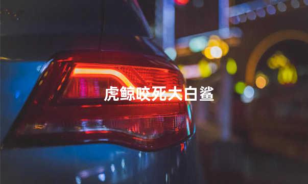 虎鲸咬死大白鲨