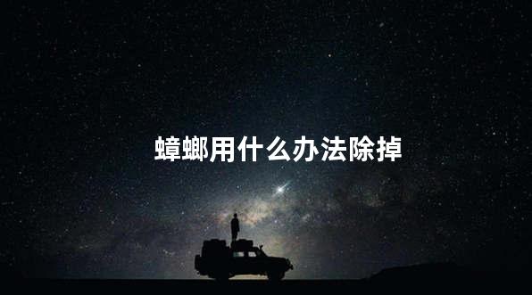 蟑螂用什么办法除掉