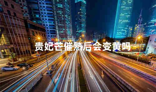 贵妃芒催熟后会变黄吗