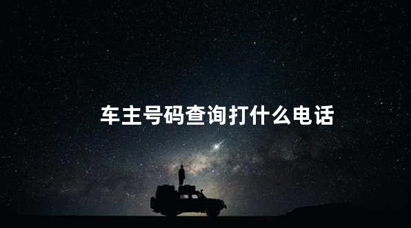 车主号码查询打什么电话