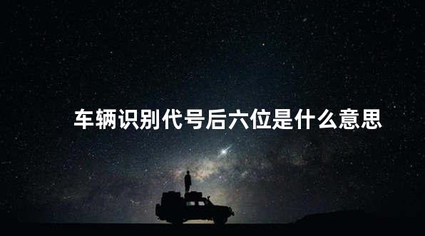 车辆识别代号后六位是什么意思