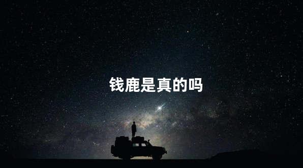 钱鹿是真的吗