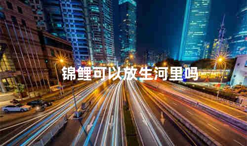 锦鲤可以放生河里吗