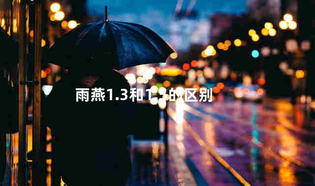 雨燕1.3和1.5的区别