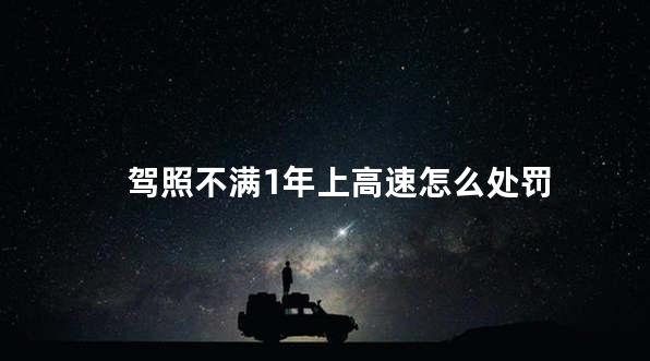 驾照不满1年上高速怎么处罚