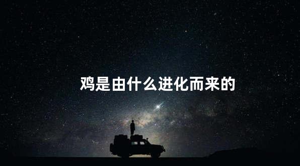 鸡是由什么进化而来的