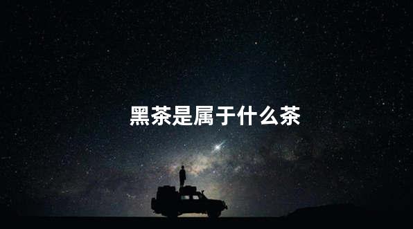 黑茶是属于什么茶