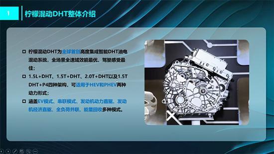 神兽竟然不凶？来看神兽DHT是怎么做暖男的