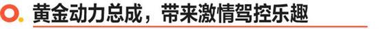多重超值礼遇 4008炫夜版20万内品位之选