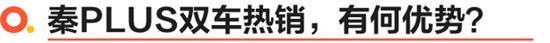 秦PLUS销量超越朗逸 A级轿车冠军指日可待