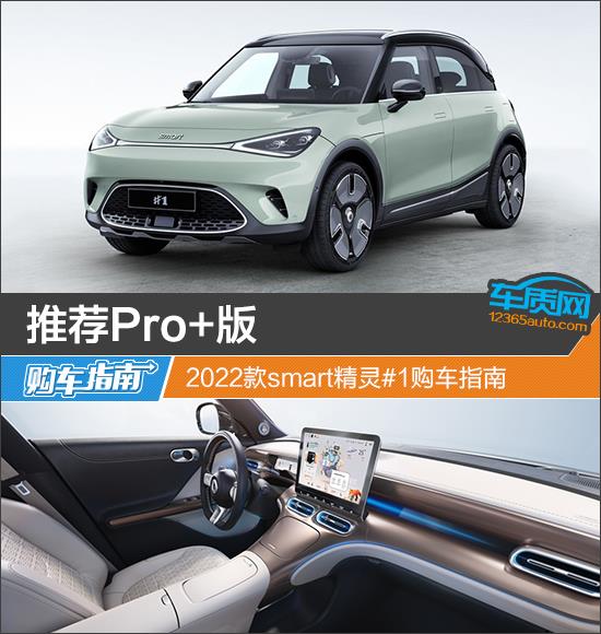 推荐Pro+版 2022款smart精灵#1购车指南