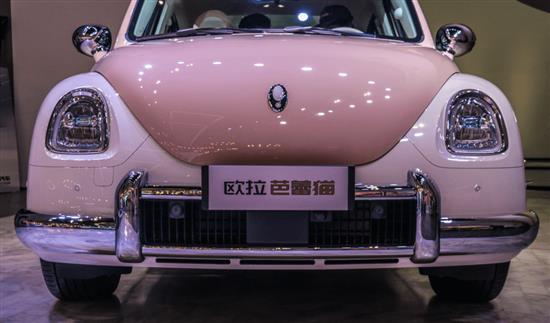 芭蕾猫凭什么敢卖20万？除了好看还有什么