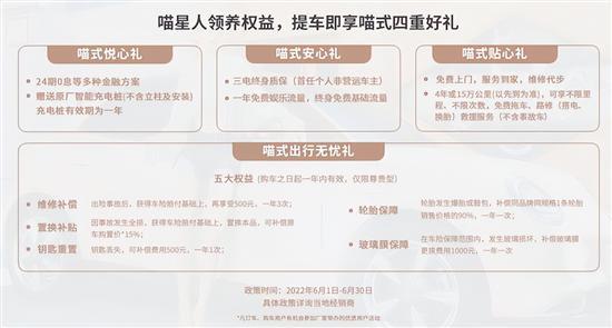 颜值进阶/配置升级 欧拉好猫莫兰迪版到店