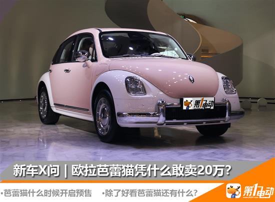 芭蕾猫凭什么敢卖20万？除了好看还有什么