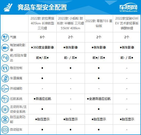 2022款欧拉黑猫完全评价报告