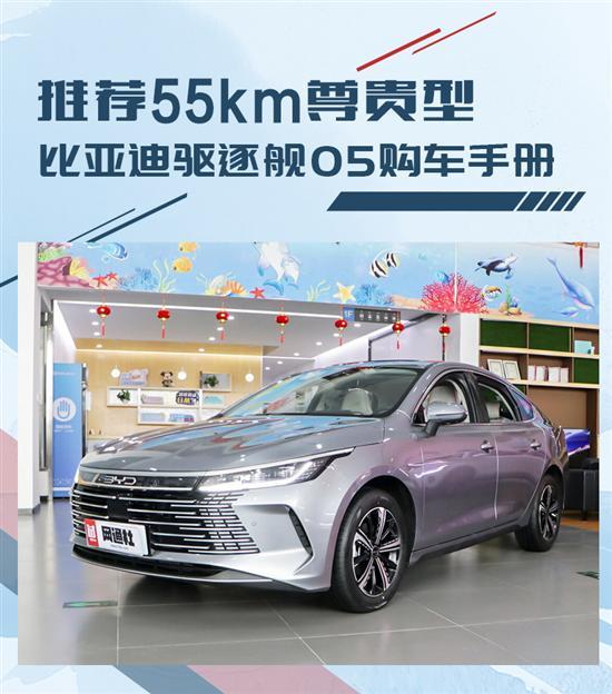 经济性强/性价比高 比亚迪驱逐舰05如何选择