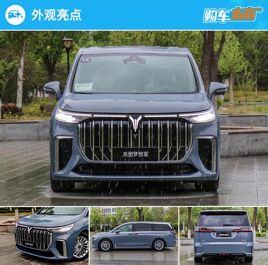 入门版即可 岚图梦想家购车指南