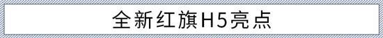 气场十足的B+级轿车 全新红旗H5该如何选？